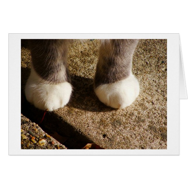 Chaussettes correspondantes (Devant Horizontal)