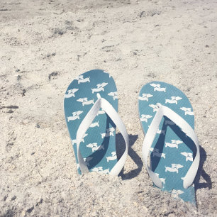 Chaussures à tongs turquoise Blue Wiener Dog