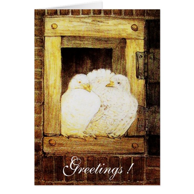 CHAUSSURES BLANCHES À LA FENÊTRE, jaune brun (Devant)