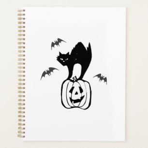chauves-souris chat citrouille halloween