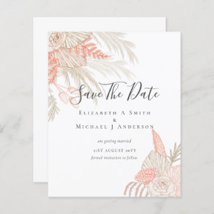 CHEAP Foto Rett Dates PAMPAS GRASS Terracotta