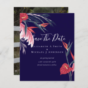 CHEAPEST FOTO Rett Dates Pampas Grass Tropical