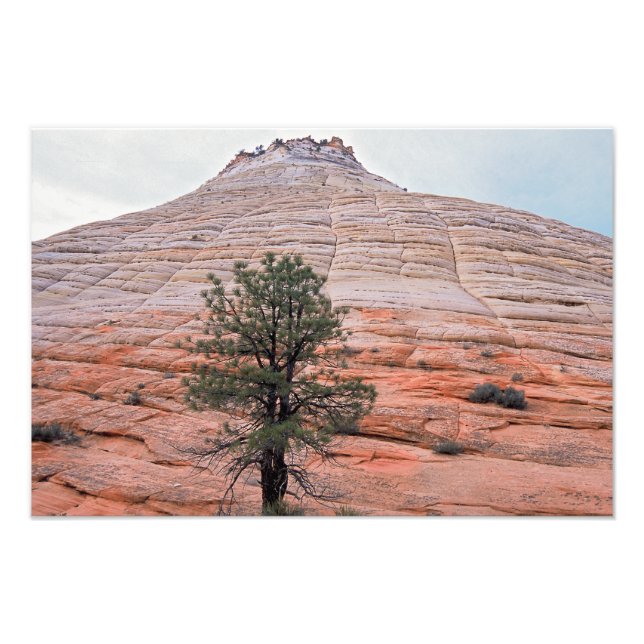 Checkerboard Mesa Zion Nationalpark Fotodruck (Vorne)