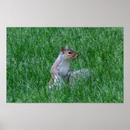 Checking it Out Poster