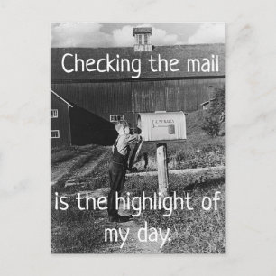 Checking the Mail - Highlight of My Day Postcard Postkarte