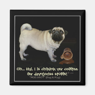 "Checks deines Kaffees..." lustige Magnete Magnet