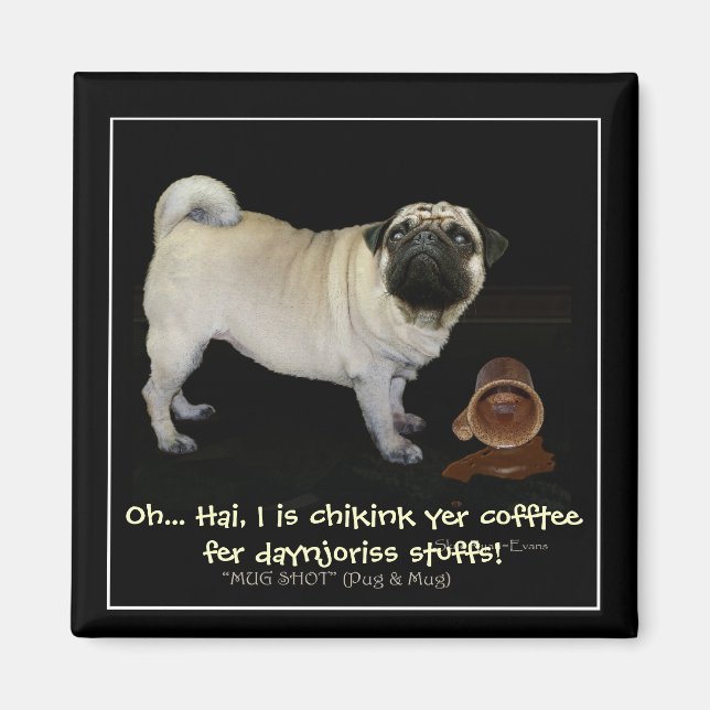 "Checks deines Kaffees..." lustige Magnete Magnet (Vorne)