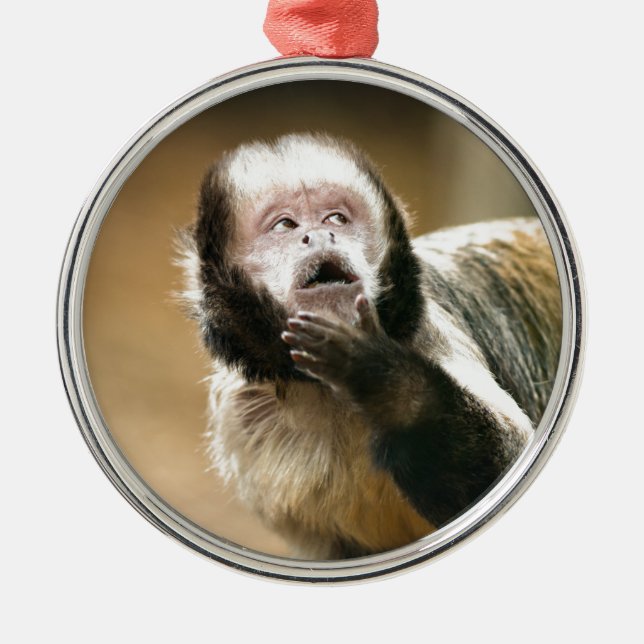 Cheeky & bedachte Baby Kapuzineraffe Ornament Aus Metall (Vorne)