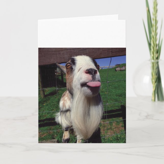 Cheeky Goat Grußkarte Karte (Vorderseite)
