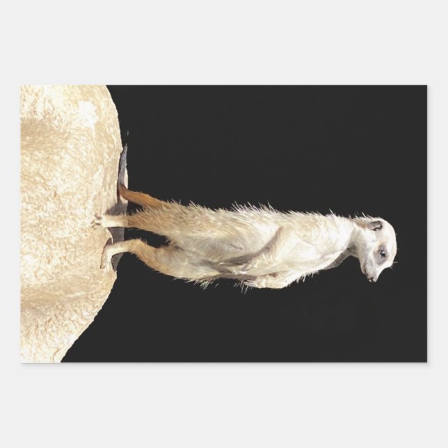 Cheeky Meerkat Design - Wrapping Paper Geschenkpapier Set (Vorderseite)
