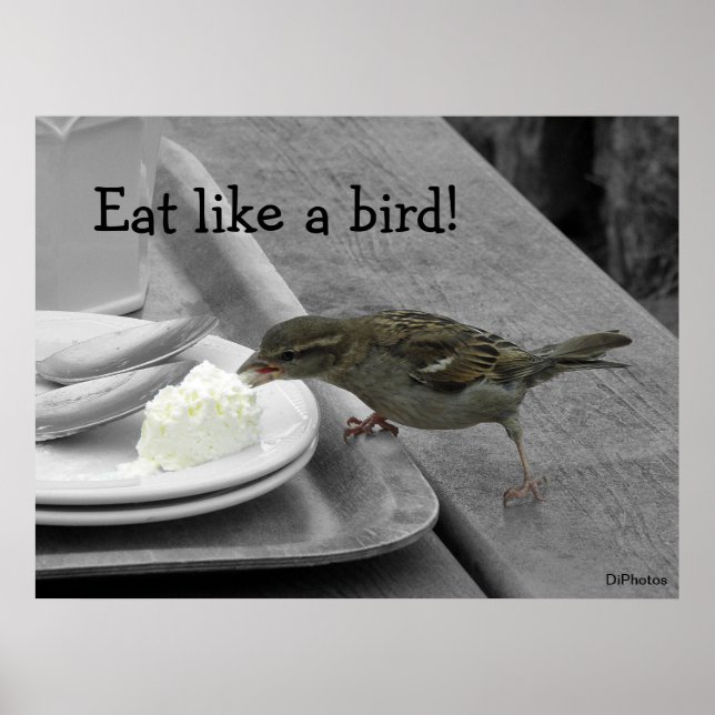Cheeky Sparrow Poster (Vorne)