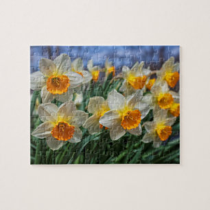 Cheery Daffodils 8"x10" herausfordernd