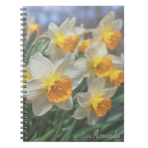 Cheery Daffodils (verblasst) Notizblock