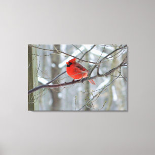 Cheery Red Kardinal Wrapped Canvas Print Leinwanddruck