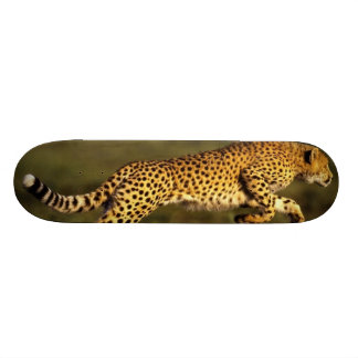 cheeta Art Skateboard