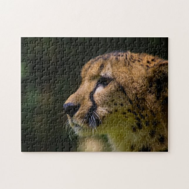 Cheetah (Horizontal)
