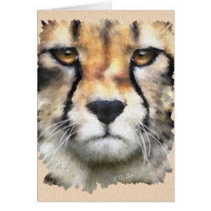 Cheetah