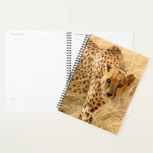 Cheetah (Devant avec enveloppe)