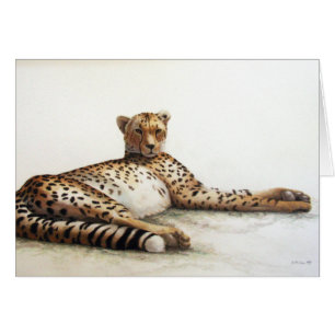 Cheetah