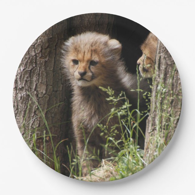 Cheetah 005 pappteller (Vorderseite)
