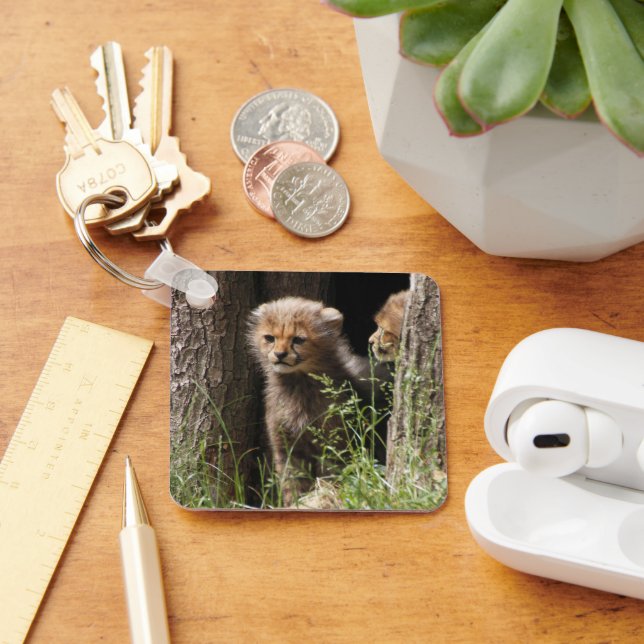 Cheetah 005 schlüsselanhänger (Schreibtisch)