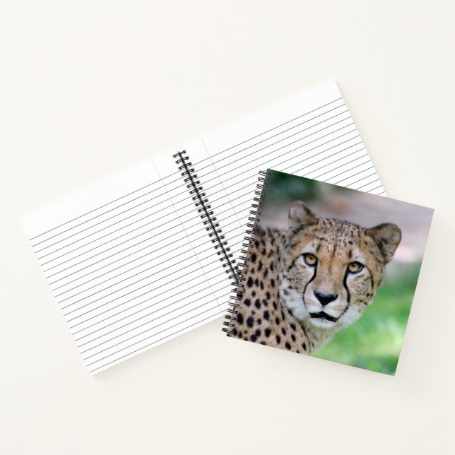 Cheetah 009 notizbuch (Innenseite)