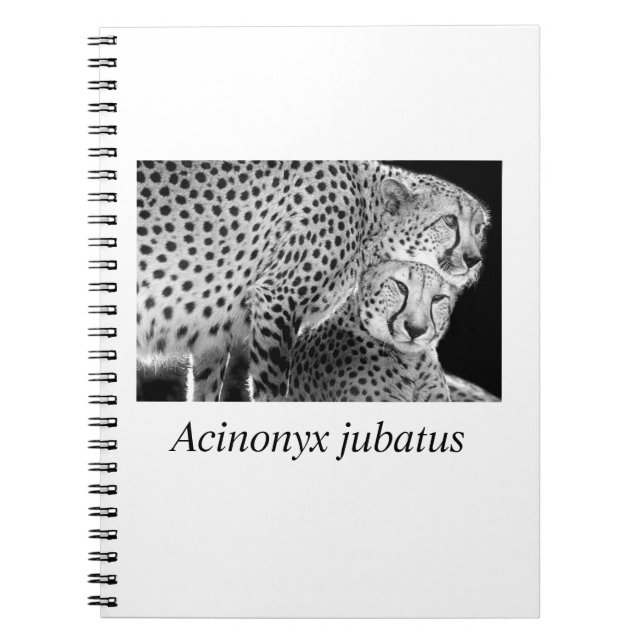 Cheetah#1 Notizblock (Vorderseite)