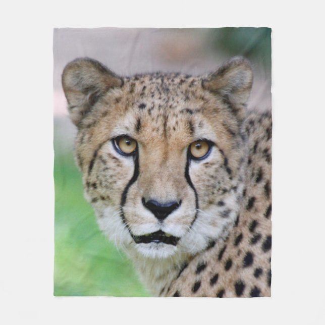 Cheetah_2014_0901 Fleecedecke (Vorderseite)