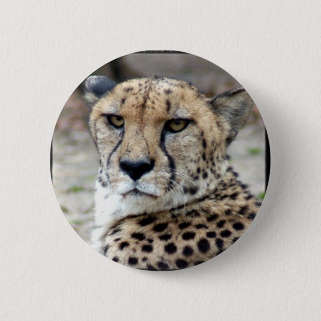 Cheetah-8934e-Bfram Button (Vorderseite)