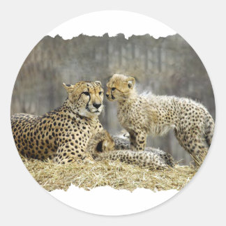 Cheetah-a-Cubs Runder Aufkleber