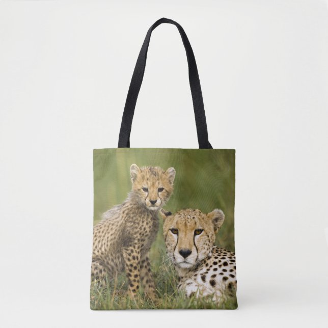 Cheetah, Acinonyx jubatus, mit Cub Tasche (Vorderseite)