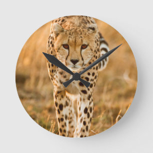 Cheetah (Acinonyx Jubatus) Portrait, Maasai Runde Wanduhr