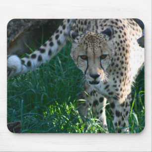 Cheetah auf der Jagd Mousepad