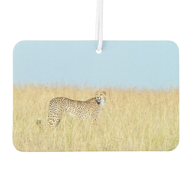 Cheetah Autolufterfrischer (Rückseite)