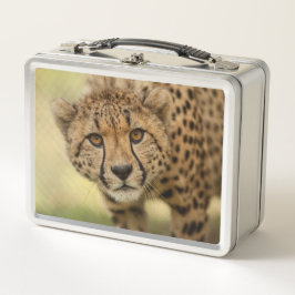 Cheetah - Big Cat Metall Brotdose