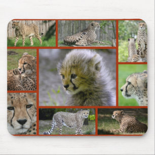 Cheetah-Collage 001 Poster Mousepad