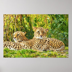 Cheetah Companions - In der Wildnis leben" Poster