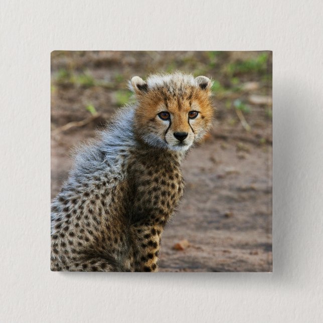Cheetah Cub Acinonyx Jubatus Button (Vorderseite)