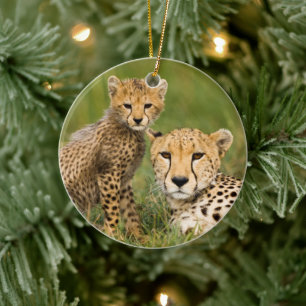 Cheetah Cub and Parque in Gras Keramik Ornament