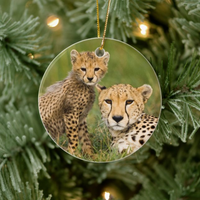 Cheetah Cub and Parque in Gras Keramik Ornament (Baum)