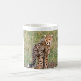 Cheetah Cub sieht zurück auf dich. Kaffeetasse