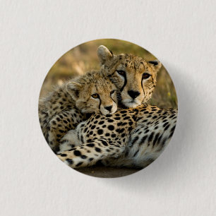 Cheetah Cub Snuggling mit seiner Mama Button