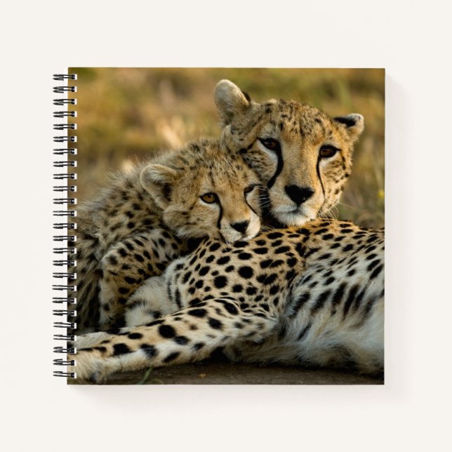 Cheetah Cub Snuggling mit seiner Mama Notizbuch (Vorderseite)