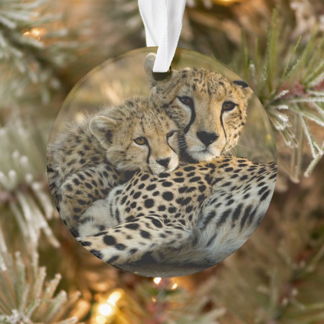 Cheetah Cub Snuggling mit seiner Mama Ornament (Baum)