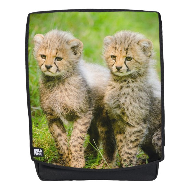 Cheetah Cubs Rucksack (Vorderseite)