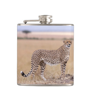 Cheetah Flachmann