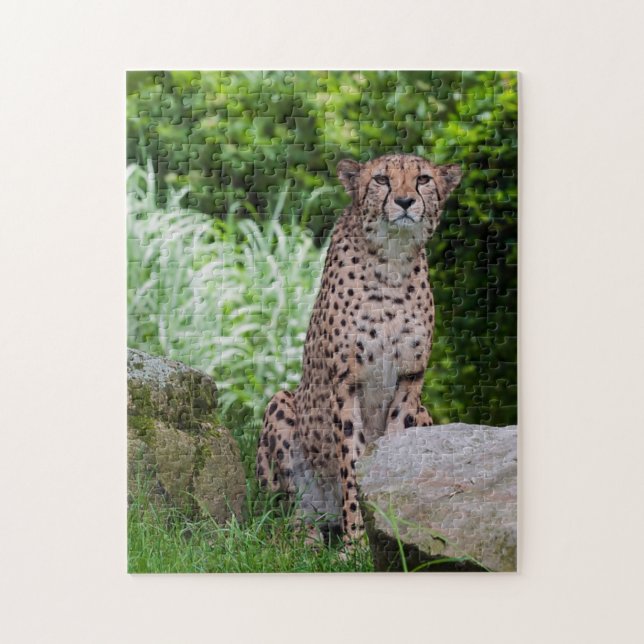 Cheetah Foto Puzzle (Vertikal)