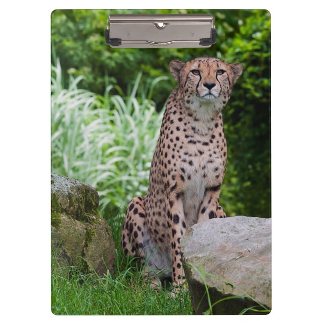 Cheetah Foto Zwischenablage Klemmbrett (Vorderseite)