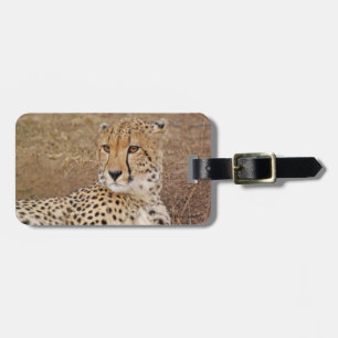 Cheetah Gepäckanhänger