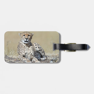 Cheetah Gepäckanhänger